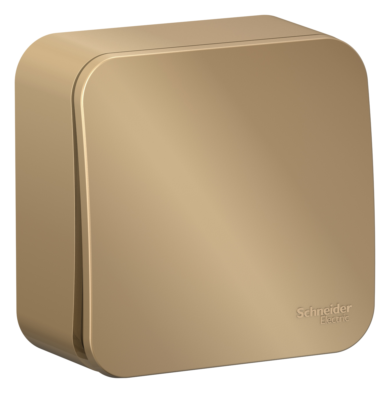 BLANCA О/У 1-клавишный ВЫКЛЮЧАТЕЛЬ (сх.1) ИЗОЛ.ПЛ., 10А, 250В, ТИТАН