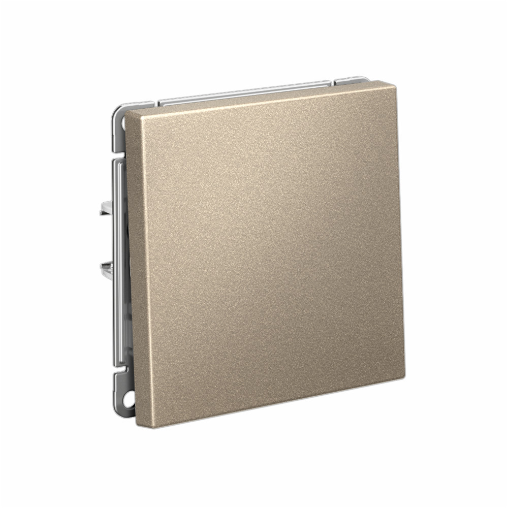 ARTGALLERY 1-клавишный ПЕРЕКЛЮЧАТЕЛЬ, сх.6, 10АХ, механизм, ШАМПАНЬ