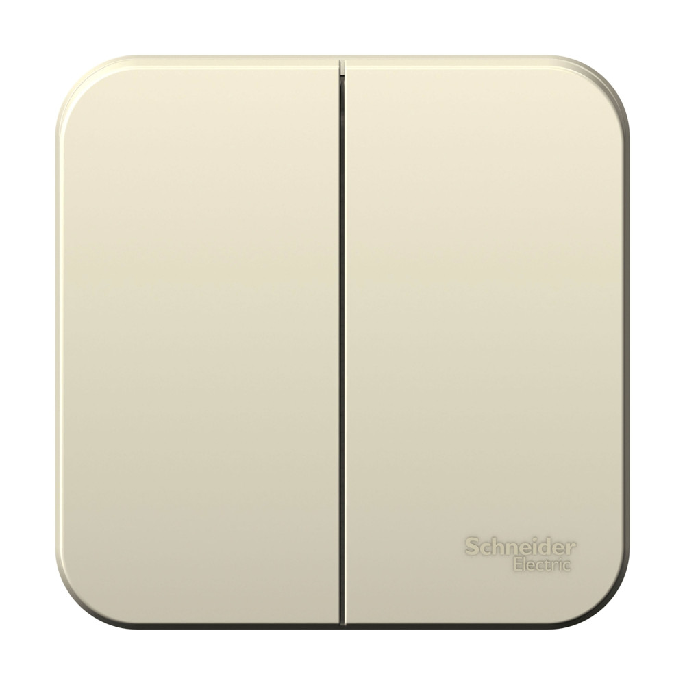 Выключатель Schneider Electric BLANCA 2х-клав. О/У с 10А/250B МОЛОЧНЫЙ
