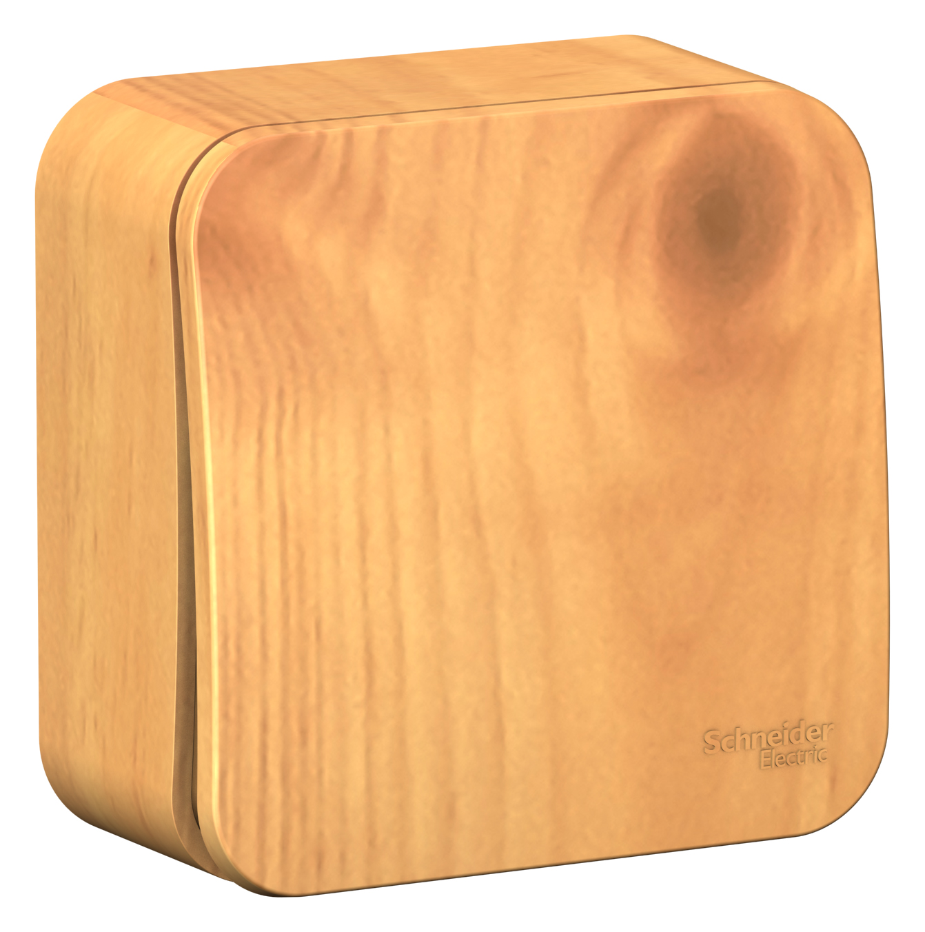 BLANCA О/У 1-клавишный ВЫКЛЮЧАТЕЛЬ (сх.1) ИЗОЛ.ПЛ., 10А, 250В, ЯСЕНЬ